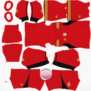 Argentina DLS Kit 2025