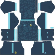 Argentina DLS Kit 2025