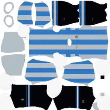 Argentina DLS Kits 2025