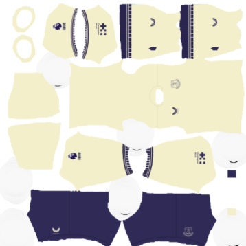 dls kits
