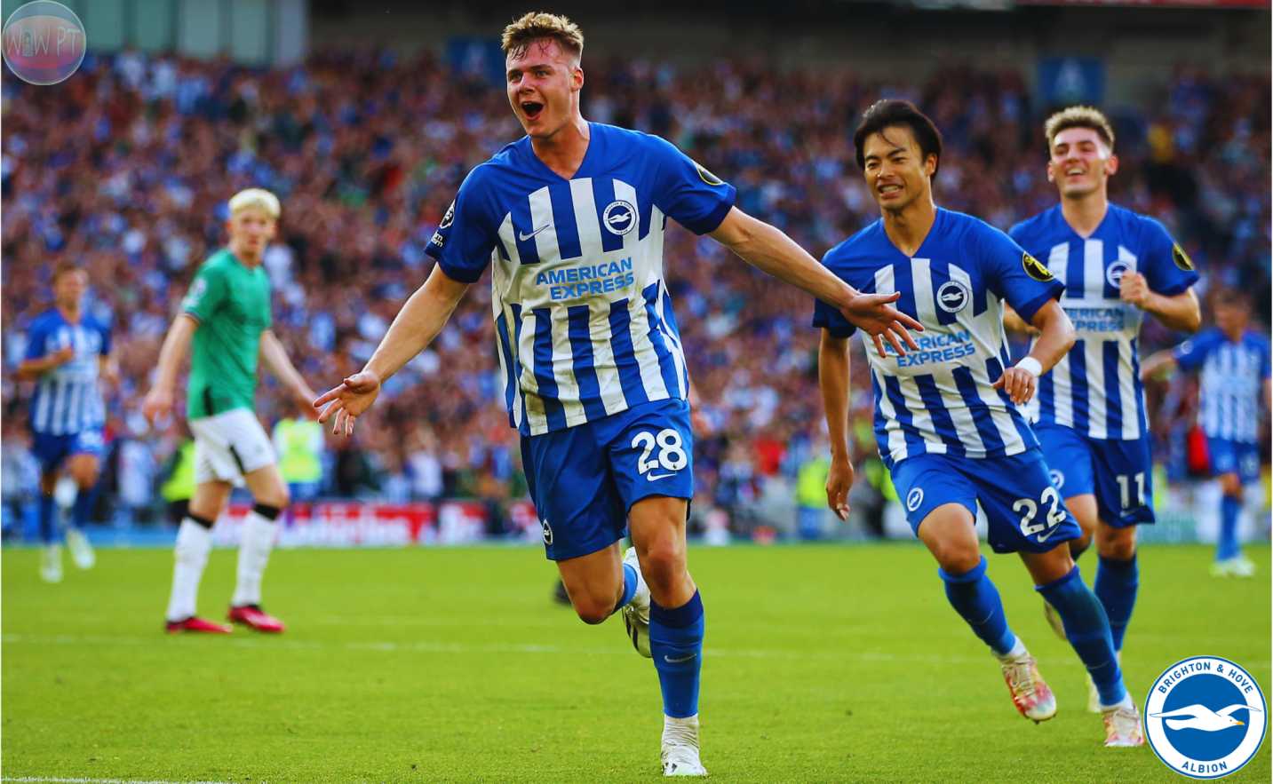 Brighton & Hove Albion DLS Kits